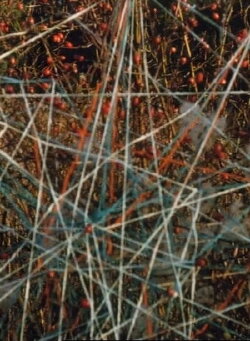 Toying with Strings (1999)