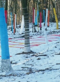 Toying with Strings 2 (2003)