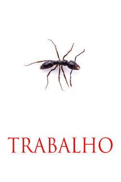 TRABALHO (2017) TRABALHO (2017)