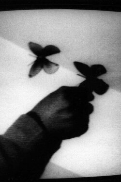 Trace Of Shadow (1976) Trace Of Shadow (1976)