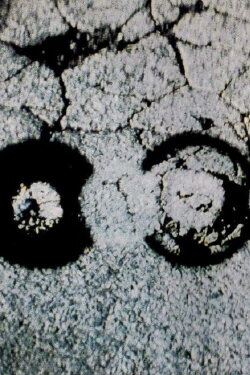 Traces (1982)