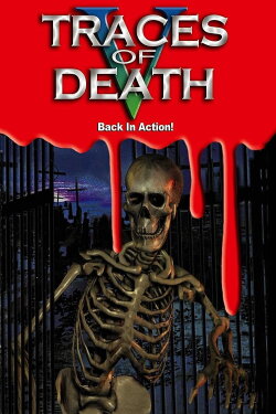Traces of Death V: Back in Action! (2000)