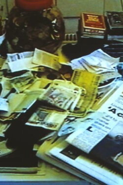 Tracey Emin C.V. Cunt Vernacular (1997)