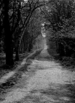 Track (1976)