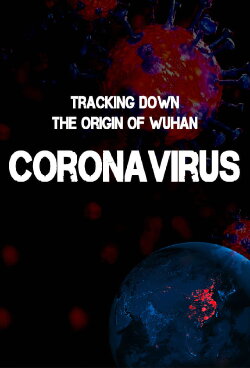 Tracking Down the Origin of the Wuhan Coronavirus (2020)