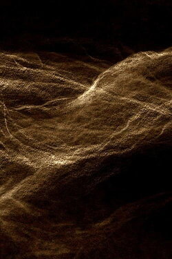 Trackless Lines (2019)