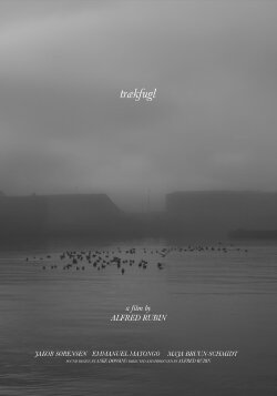 trækfugl (2021) trækfugl (2021)