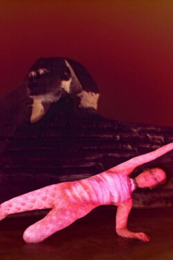 Trail of the Sphinx (2019) Trail of the Sphinx (2019)