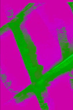 Trames 2 - All Over (2016) Trames 2 - All Over (2016)