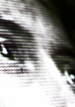 Transcommunication (2010)