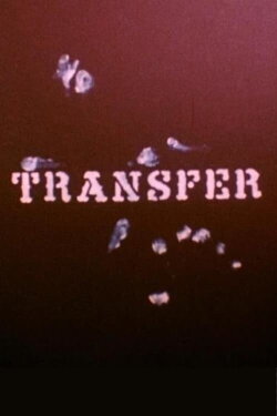 Transfer (1966) Transfer (1966)