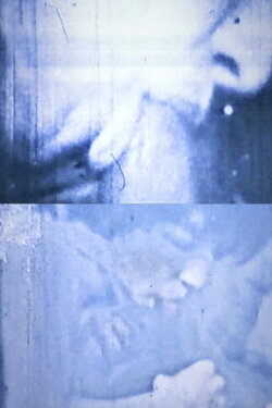 Transfer of Modulation (1969) Transfer of Modulation (1969)