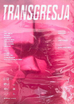 Transgression (2024)