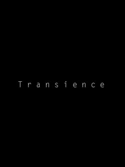 Transience (2013)