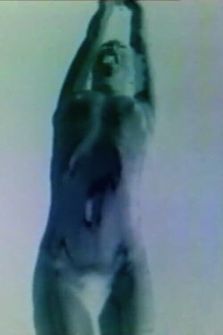 Tránsito (1988)