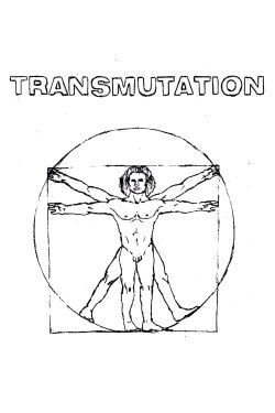 Transmutation (2017)