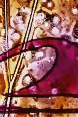 Transparence (1962)