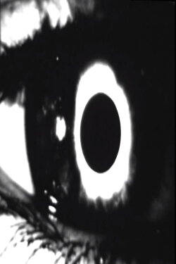Transubstantiation (2004)