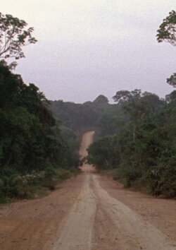 Travelling Amazonia (2006) Travelling Amazonia (2006)