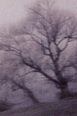 Travelogue (1976) Travelogue (1976)