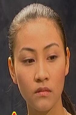 Trở Về Với Điệu Lâm Thôn (2008) Trở Về Với Điệu Lâm Thôn (2008)