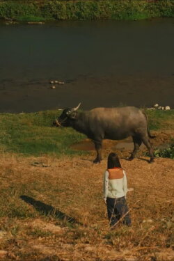 Treasure By The River (2024) Treasure By The River (2024)