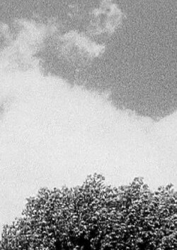 Tree & Cloud (1998)