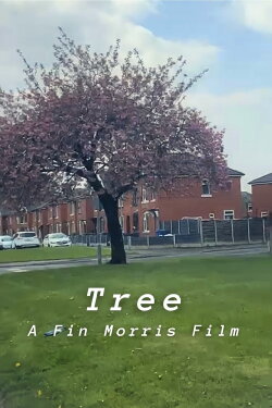 Tree (2001) Tree (2001)