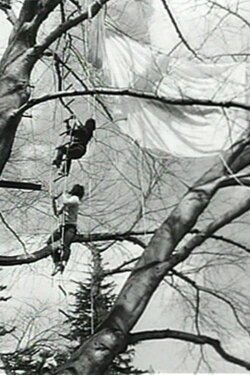 Tree Dance (1971) Tree Dance (1971)