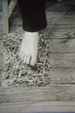 Tree Film (1978)