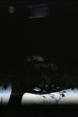 Tree-Line (1998) Tree-Line (1998)