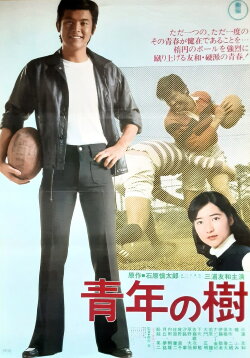 Tree of Youth (1977) Tree of Youth (1977)