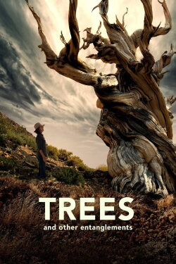 Trees and Other Entanglements (2023) Trees and Other Entanglements (2023)