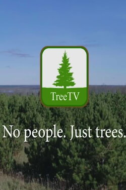 TreeTV (2020)