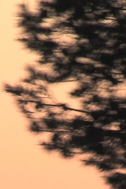 Tremblement (2009)