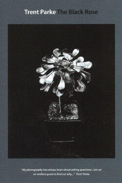 Trent Parke: The Black Rose (2015) Trent Parke: The Black Rose (2015)