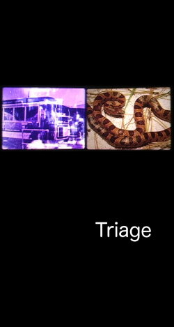 Triage (2004)