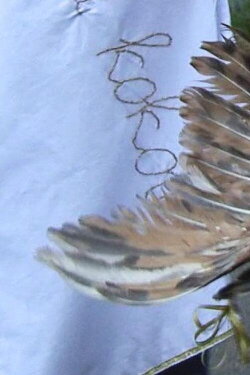 Trials, Tribulations & Sustainable Development of a Cock (2011)