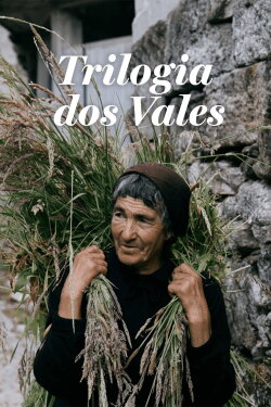 Trilogy of Valleys (2023) Trilogy of Valleys (2023)
