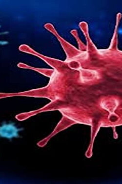 Troleriya Virus (2020) Troleriya Virus (2020)