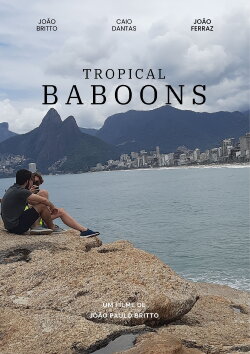 Tropical baboons (2023)