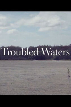 Troubled Waters (2010) Troubled Waters (2010)