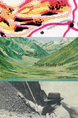 Trust Study #1 (2020) Trust Study #1 (2020)