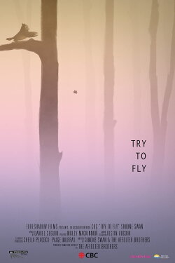 Try to Fly (2020)