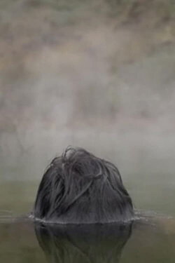 Tsuan (2017)