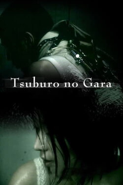 Tsuburo no Gara (2004) Tsuburo no Gara (2004)