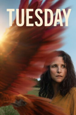 Tuesday (2024) Tuesday (2024)