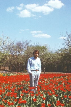 Tulip Field (2019)