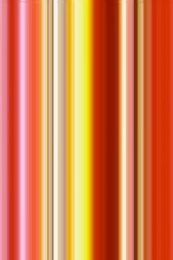 Tulipa (2008)