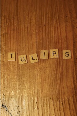 Tulips (2022)